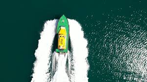 Image result for Portway Plodders