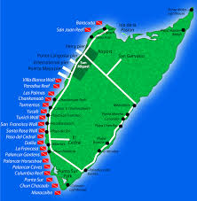 Resultado de imagen para cozumel dive