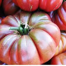 Afbeeldingsresultaat voor purple calabash tomato