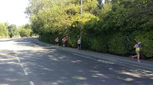 Image result for Billingham Marsh House Harriers