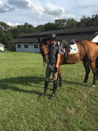 Image result for Fisher Equestrian