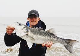Image result for Bristol Channel Sea Fishing