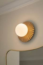 Attēlu rezultāti vaicājumam “Licea minima sessile”