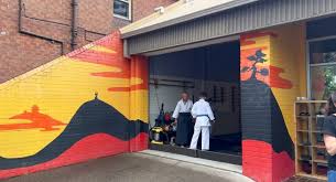 Image result for Newcastle Aikido Club