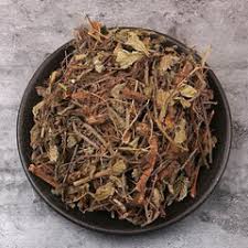 Attēlu rezultāti vaicājumam “Agrimonia pilosa”