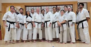 Image result for Kenshukai Karate