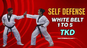 Image result for Tkd Self Defense