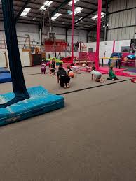 Image result for Canterbury Gymnastics Club