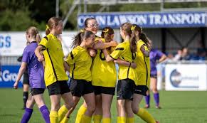 Image result for Walney Island Football Club