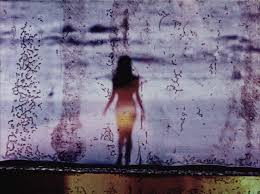 Image result for Schneemann