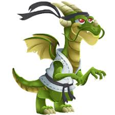 Image result for Hidden Dragon Karate-Do
