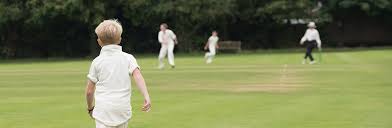 Image result for Newton Cricket Club