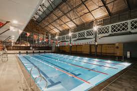 Image result for Sharks Swimming Club Of Mottingham