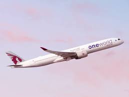 Image result for One Sky One World UK