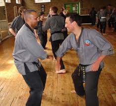 Image result for Shaolin Nam Pai Chuan Kung Fu - Manchester Martial Arts Centre