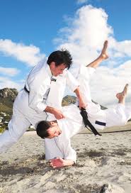 Image result for Reading Karate-Do Shotokai