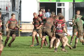 Image result for Hayle Rugby Football Club
