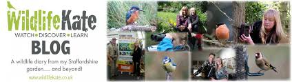 Image result for England Staffordshire Birding Club