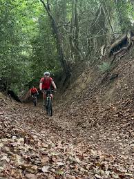 Image result for Epping Forest Mountain Bike Club