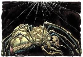 Attēlu rezultāti vaicājumam “Aranei”