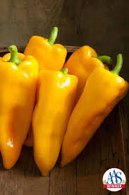 Afbeeldingsresultaat voor yellow fratali hot pepper