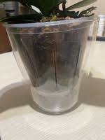 Image result for Конфетти d-23 Кашпо 2109020759412