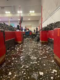 Image result for Notts School Of Gymnastics