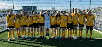 Image result for United in the Community - Boston Player Development Centres