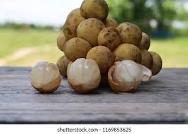 Image result for Lansongammon