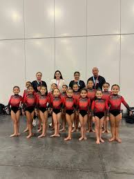 Image result for Epping Forest Elite Gymnastics Club