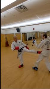 Image result for York University Taekwondo Club