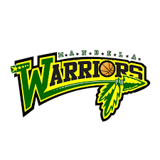 Image result for Spen Valley Vipers