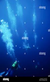 Image result for Three Seas Diving