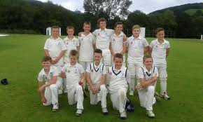 Image result for Bronwydd Cricket Club