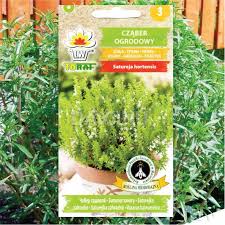 Image result for Satureja hortensis