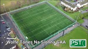 Image result for Wolfe Tones Gaelic Athletic Club