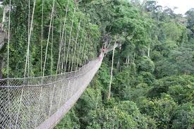 kakum national park