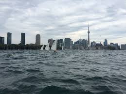 Image result for York University Sailing Club