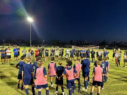 Image result for Phoenix Royals F C