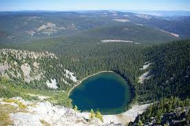 Image result for Leek Park B C