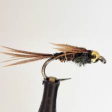 Image result for Kirkham and District Fly Fishers` Club