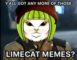 Image result for limecat