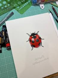 Attēlu rezultāti vaicājumam “Coccinella septempunctata”