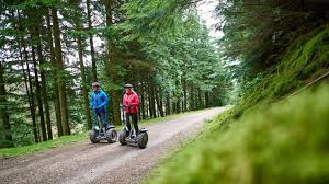Image result for Go Ape! Whinlatter