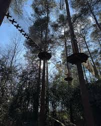 Image result for Go Ape! Alice Holt