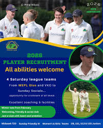 Image result for Aston Ingham Cricket Club