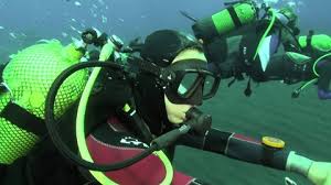 Image result for Canary Divers