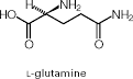 glutamine: Definition from Answers.