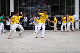 Image result for Capoeira Agora