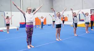 Image result for Diamonds Gymnastics Club